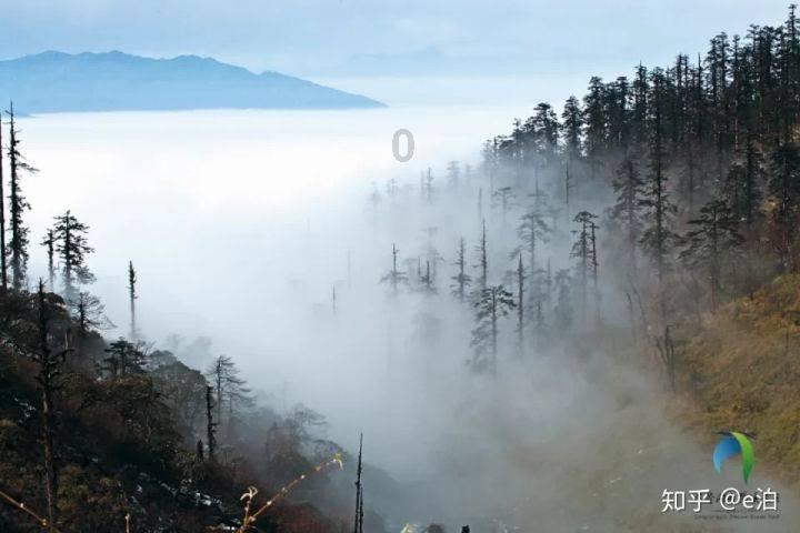“恩恩相报无了时”